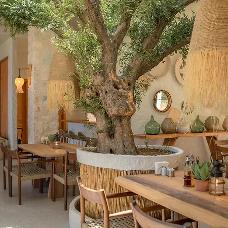 Alya Butik * Turunç